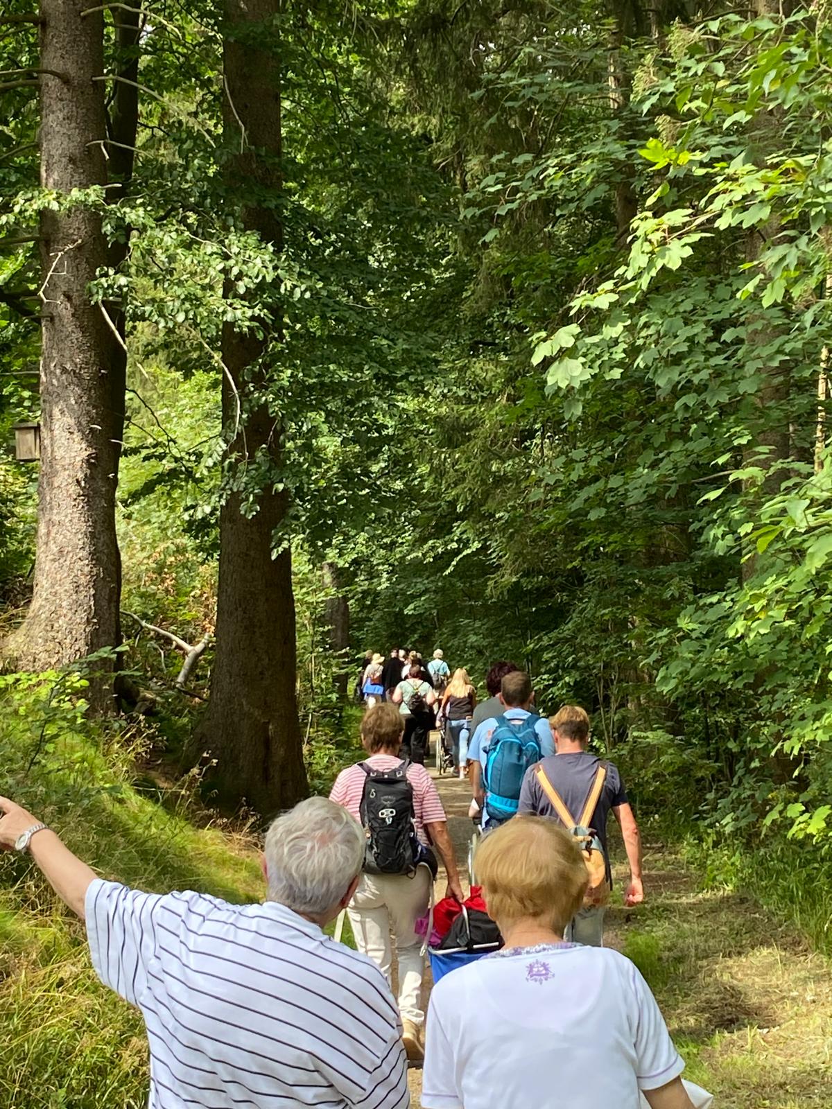 Behinderte und deren Begleiter wandern im Wald