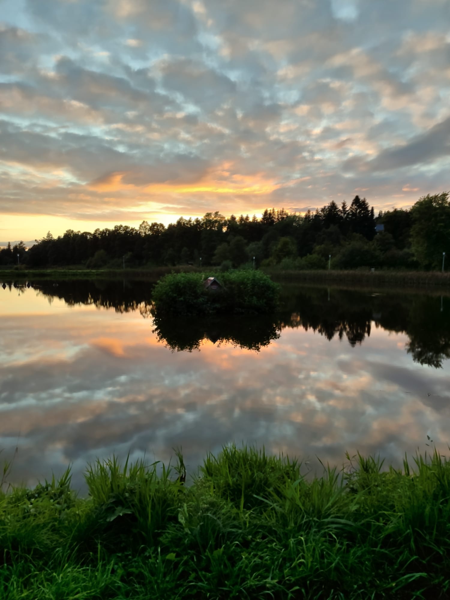 Die untergegangene Sonne färbt den Himmel Orange-Pink. Der Himmel spiegelt sich im Wasser eines Teiches