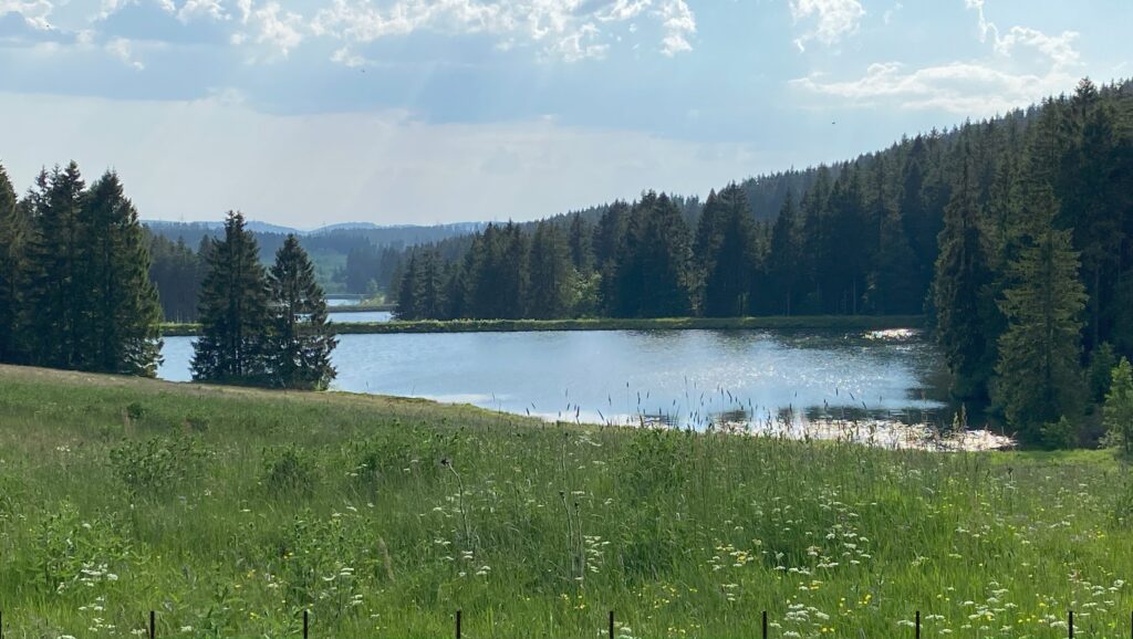 Über eine blühenmde Bergwiese hinweg richtet sich der Blick über 3 Teiche der Auerhahnkaskade. Das Wasser schimmert silbrig im Sonnenschein