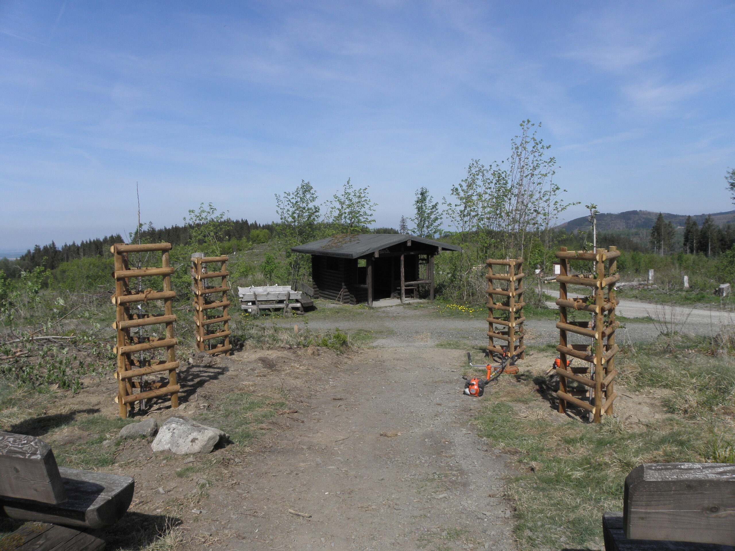 Weg zur Hütte , Apfelbäume