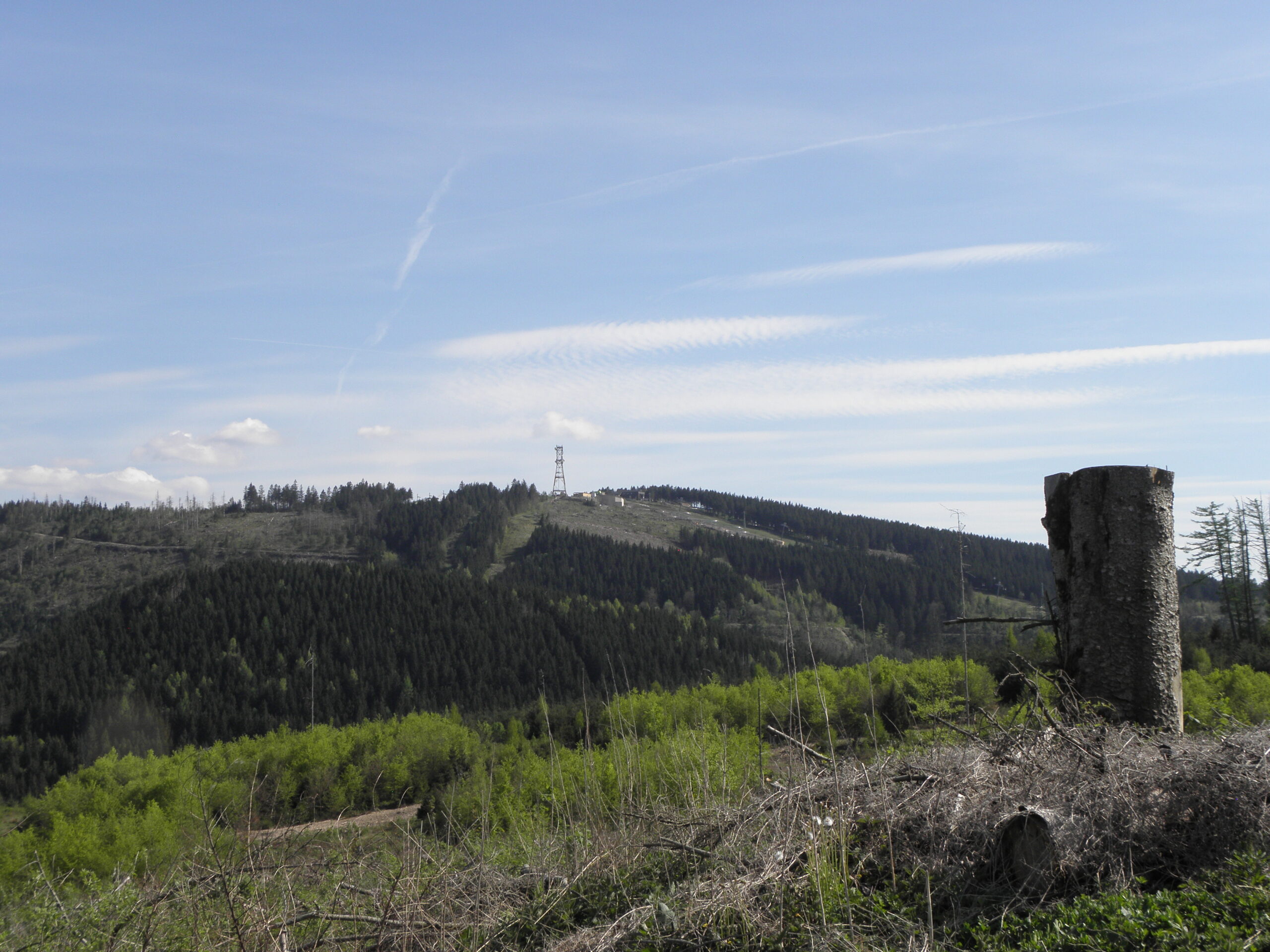 Blick zum Bocksberg