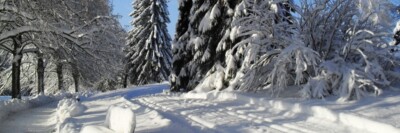 Winter Loipe