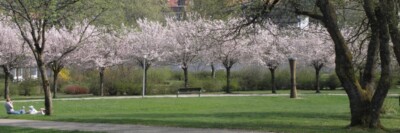 Frühling