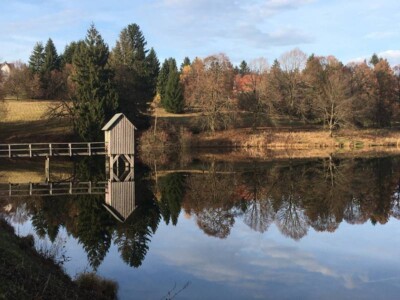 Großer Kranicher Teich
