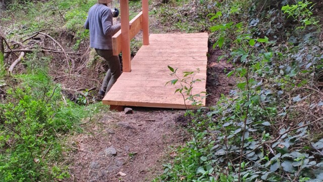 Erneuerung der Holzbrücke über einen Graben zum Tetschwasser