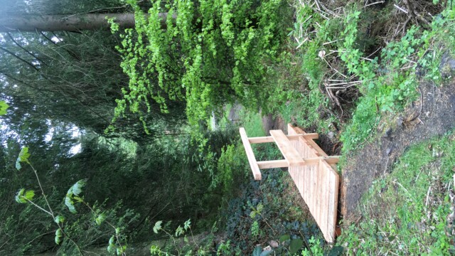 Holzbrücke über einen Graben zum Tetschwasser