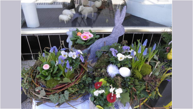 Ostergestecke Blumengestecke in Körben sind mit Zweigen , primeln und Gänseblümchen dekoriert. In der Mitte sitz ein Osterhase aus Filz.