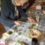 Zubereitung der Wildkräuter